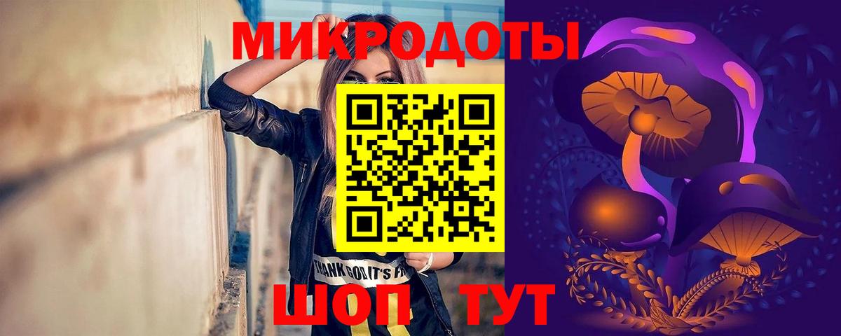 Качканар  Псилоцибиновые грибы прущие грибы  Вход с VPN 